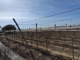 finca rústica en monforte del cid