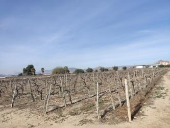 finca rústica en monforte del cid