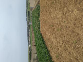 finca rústica en chiclana de la frontera