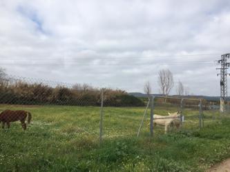 finca rústica en lora del rio