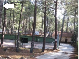 finca rústica en piedralaves