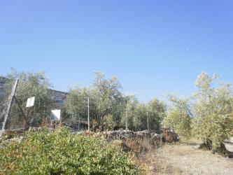 finca rústica en el rubio