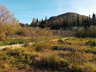 finca rústica en montserrat