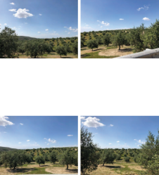 finca rústica en baena