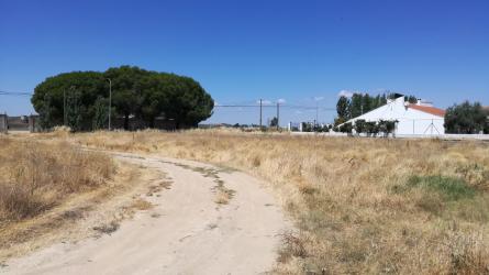 solar en madrigalejo