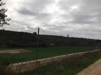 finca rústica en alcolea del rio