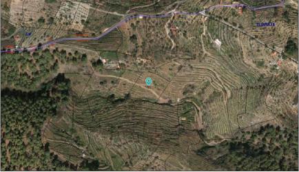 finca rústica en tijarafe