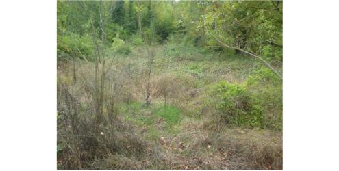 finca rústica en anguiano