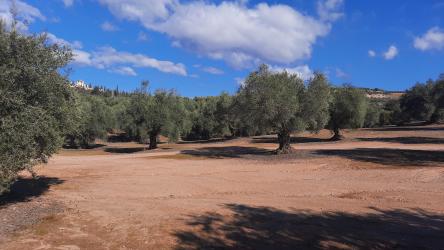 finca rústica en peligros