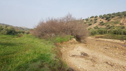 finca rústica en martos