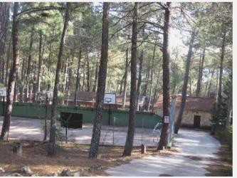 finca rústica en piedralaves