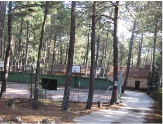 finca rústica en piedralaves