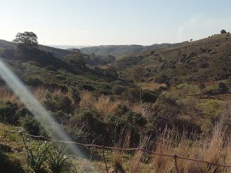 finca rústica en manilva