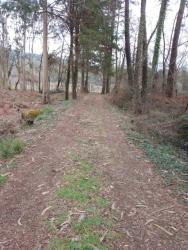 finca rústica en tomiÑo