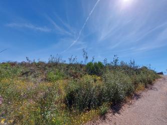 finca rústica en el ronquillo