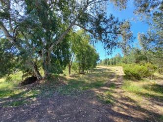 finca rústica en el ronquillo