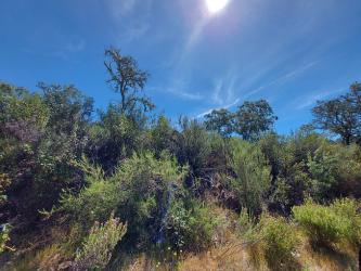 finca rústica en el ronquillo