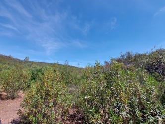 finca rústica en el ronquillo