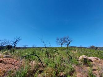 finca rústica en el ronquillo