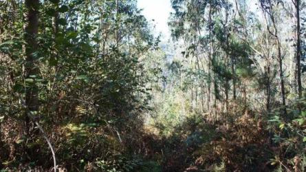 finca rústica en colunga