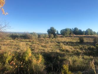 finca rústica en cheste