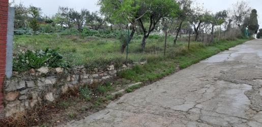 solar en lliÇa d'amunt