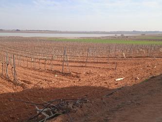 finca rústica en pedro muÑoz