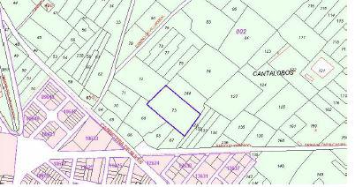 finca rústica en la vilavella