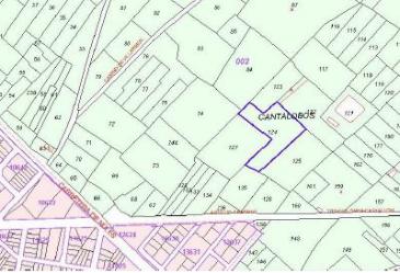 finca rústica en la vilavella