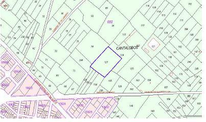 finca rústica en la vilavella