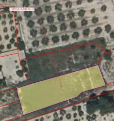 finca rústica en la romana