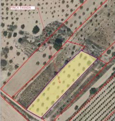 finca rústica en la romana