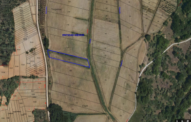 finca rústica en burgo de osma-ciudad de osma