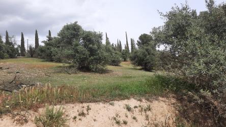 solar en gabias (las)