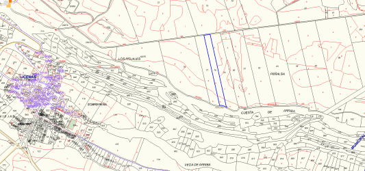 finca rústica en liceras