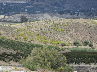 finca rústica en purchena