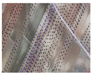 finca rústica en almendralejo