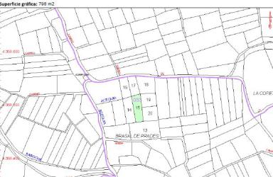 finca rústica en turis