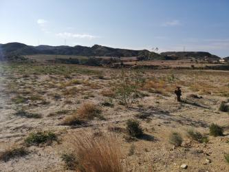 finca rústica en cuevas del almanzora