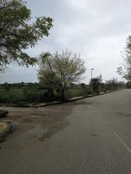 solar en palma del rio