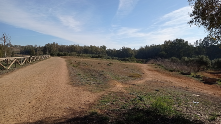 finca rústica en alcala de guadaira