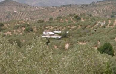 finca rústica en villanueva de córdoba