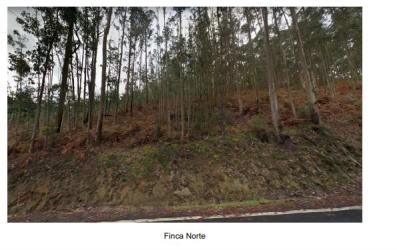 finca rústica en culleredo