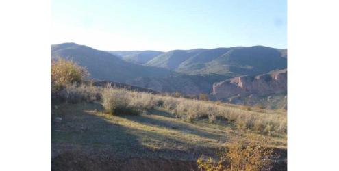 finca rústica en viguera