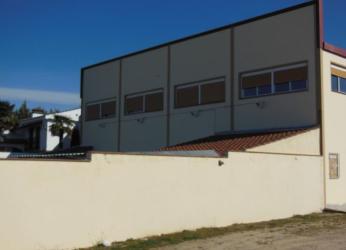 nave industrial en cebolla