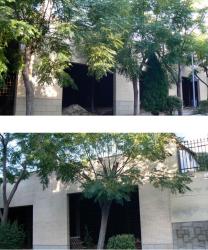 nave industrial en cobeja