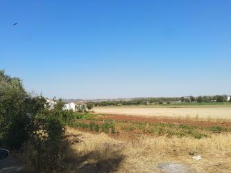 finca rústica en bornos