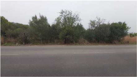 finca rústica en orpesa-oropesa del mar