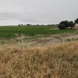 finca rústica en jerez de la frontera