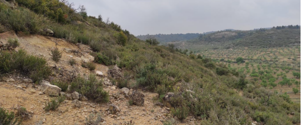 finca rústica en castelldans